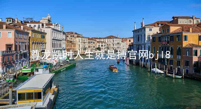 尊龙凯时人生就是搏官网bjl8