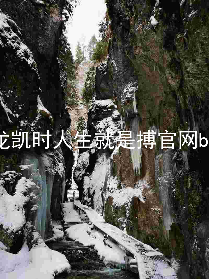 尊龙凯时人生就是搏官网bjl8